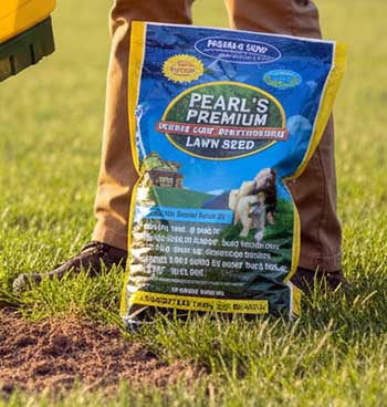 Pearl’s Premium Grass Seed