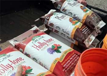 Plant-Tone And Holly-tone