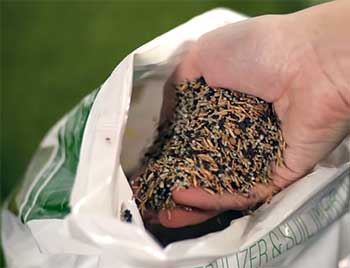 Scotts® Turf Builder® Thick'R Lawn® 3-In-1 Solution