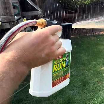 See Spot Run Lawn Protection