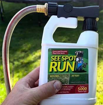 See Spot Run Lawn Protection