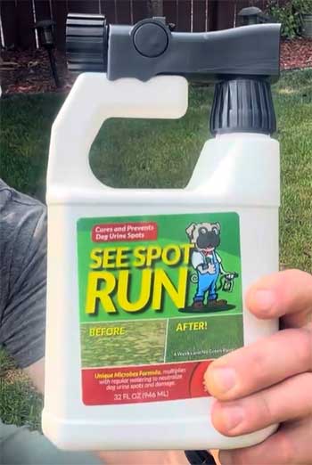 See Spot Run Lawn Protection