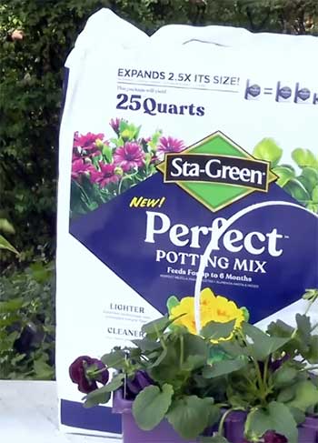 Sta-Green Potting Soil