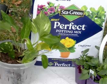 Sta-Green Potting Soil