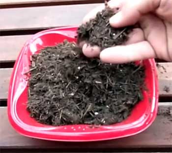 Sta-Green Potting Soil