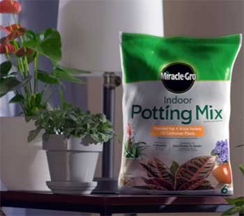 miracle gro potting mix