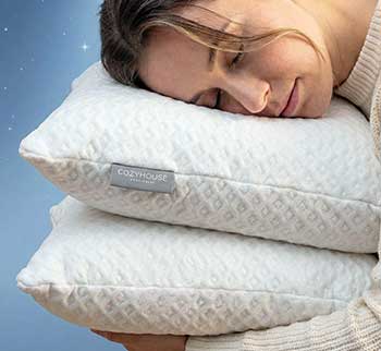 Cosy House Collection Bamboo Pillow