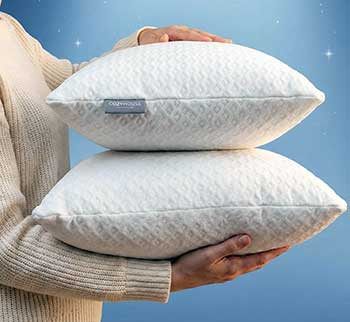 Cosy House Collection Bamboo Pillow