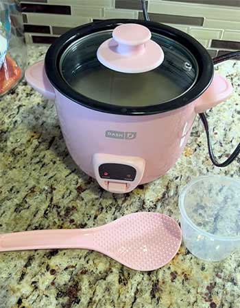 Dash Mini Rice Cooker