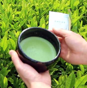 Ceremonial Encha Matcha