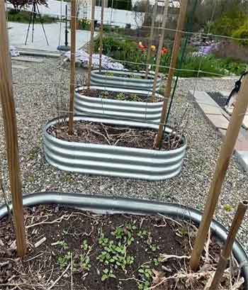 Land Guard Galvanized Raised Bed