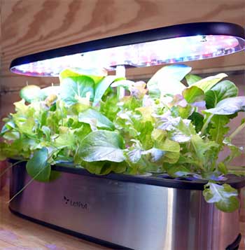 LetPot Table Top Hydroponic System