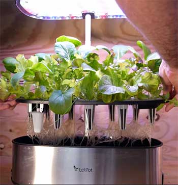 LetPot Table Top Hydroponic System