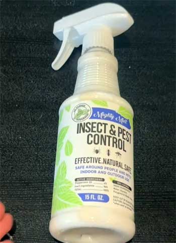 Mighty Mint Insect And Pest Control