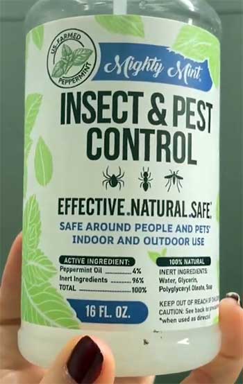 Mighty Mint Insect And Pest Control