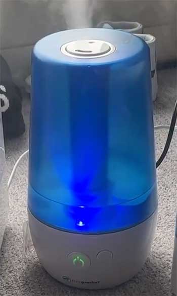 PureGuardian H965 Humidifier