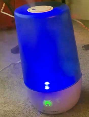 PureGuardian H965 Humidifier