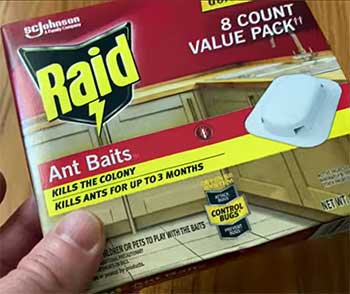 Raid Ant Baits