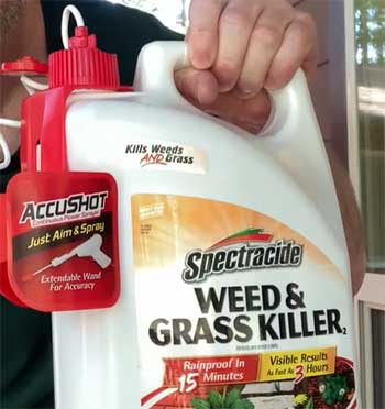  Spectracide Weed & Grass Killer