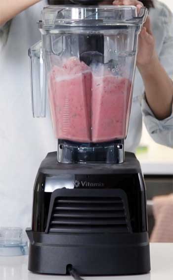 Vitamix A2500