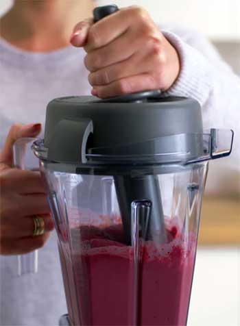 Vitamix Explorian Series E310