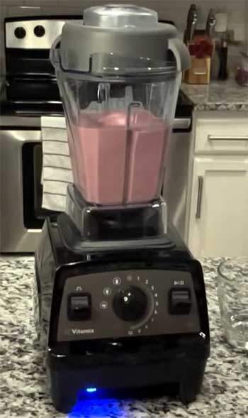 Vitamix Propel 510