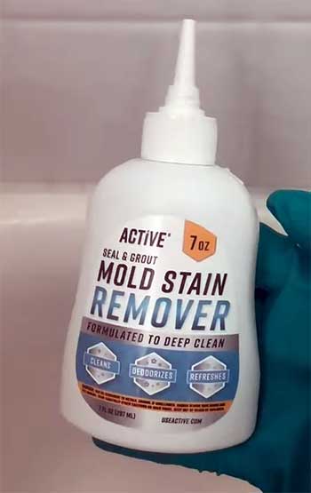 ACTIVE Mold Stain Remover