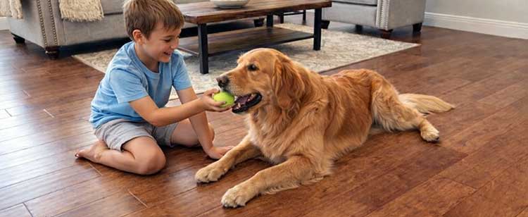 Ambient Bamboo Floor