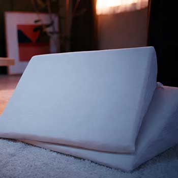 Avocado Wedge Pillow