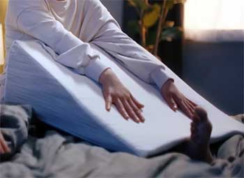 Avocado Wedge Pillow