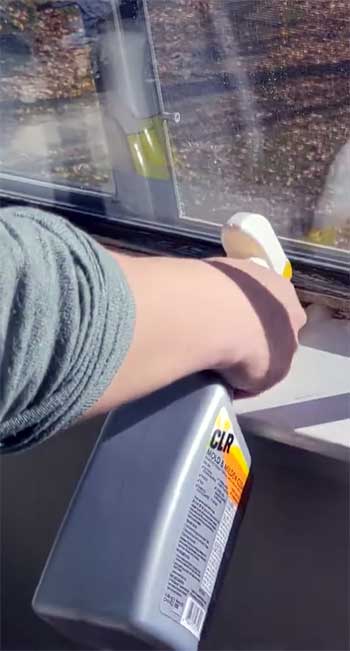 CLR Mold & Mildew Clear