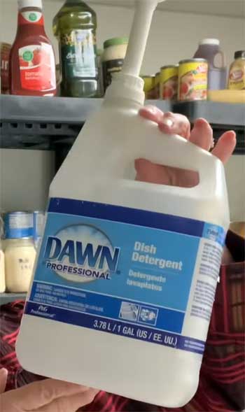 Dawn Professional