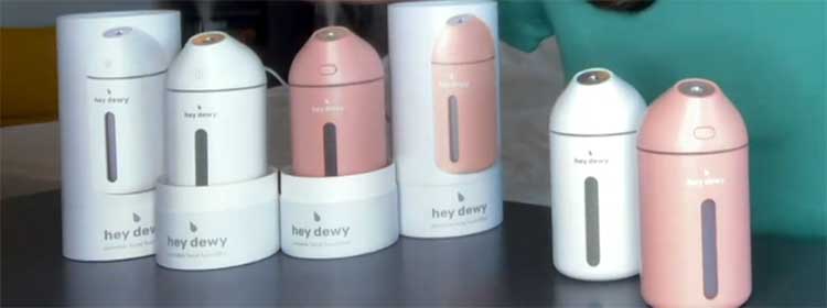 Hey Dewy Wireless Facial Humidifier