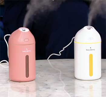 Hey Dewy Wireless Facial Humidifier