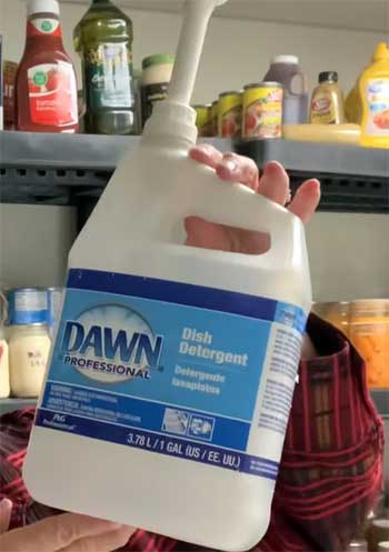 Regular Dawn Dishwasher