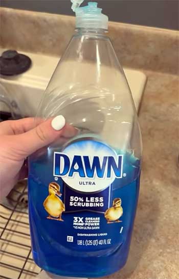 Regular Dawn Dishwasher