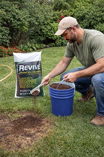 Revive Organic Soil Lawn Treatment