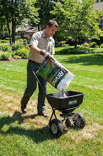 Revive Organic Soil Lawn Treatment