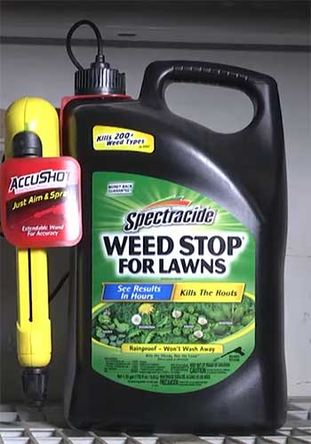 Spectracide Weed Stop