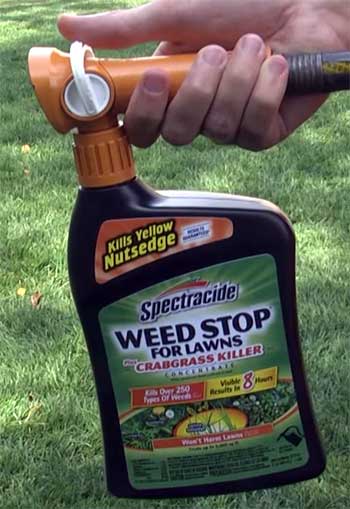 Spectracide Weed Stop