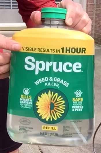 Spruce Weed Killer