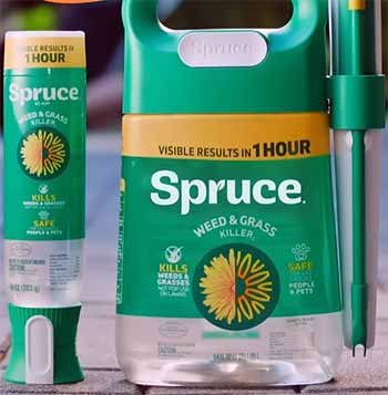 Spruce Weed Killer