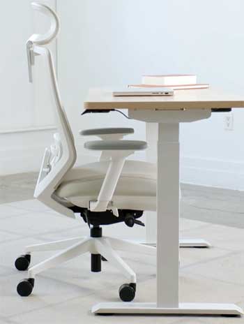 Branch Ergonomic Chair Pro