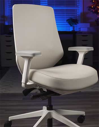 Branch Ergonomic Chair Pro