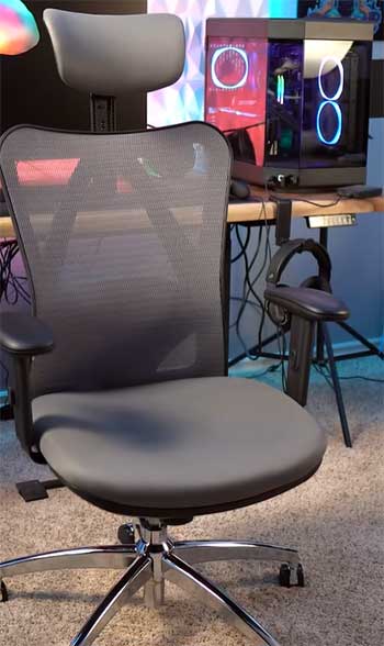 Sihoo M18 Chair