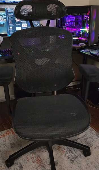 Staples Dexley Chair