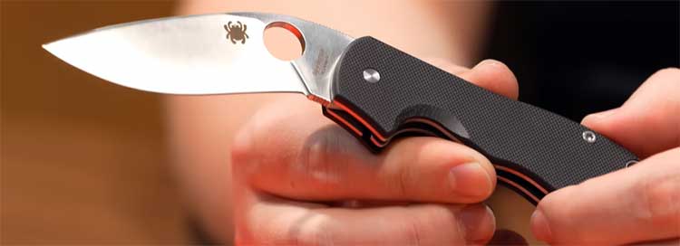 spyderco knife