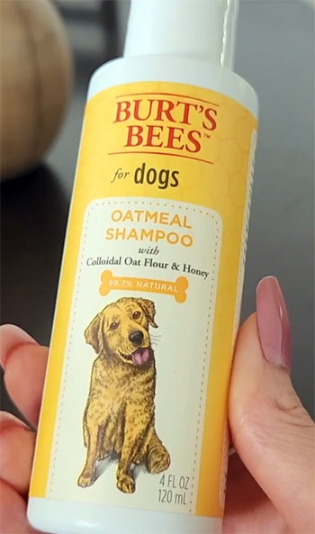 Burt's Bees Natural Oatmeal Shampoo