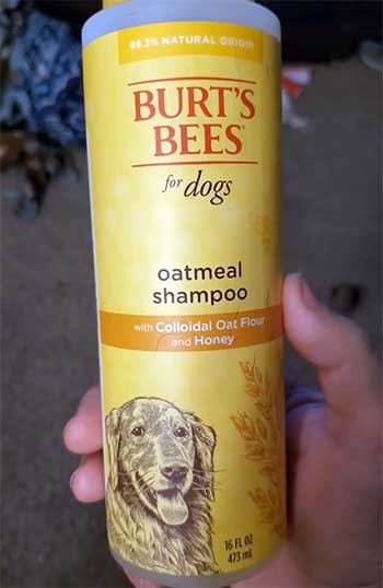 Burt's Bees Natural Oatmeal Shampoo