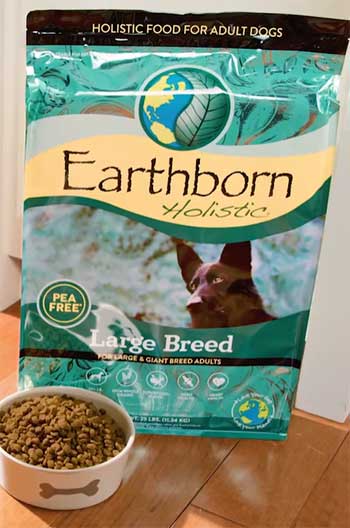 Earthborn Holistic Food